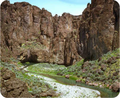 image of a river entering a canyon